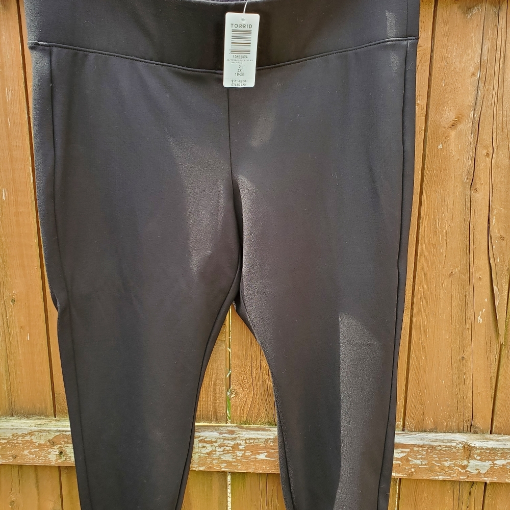 Torrid pants